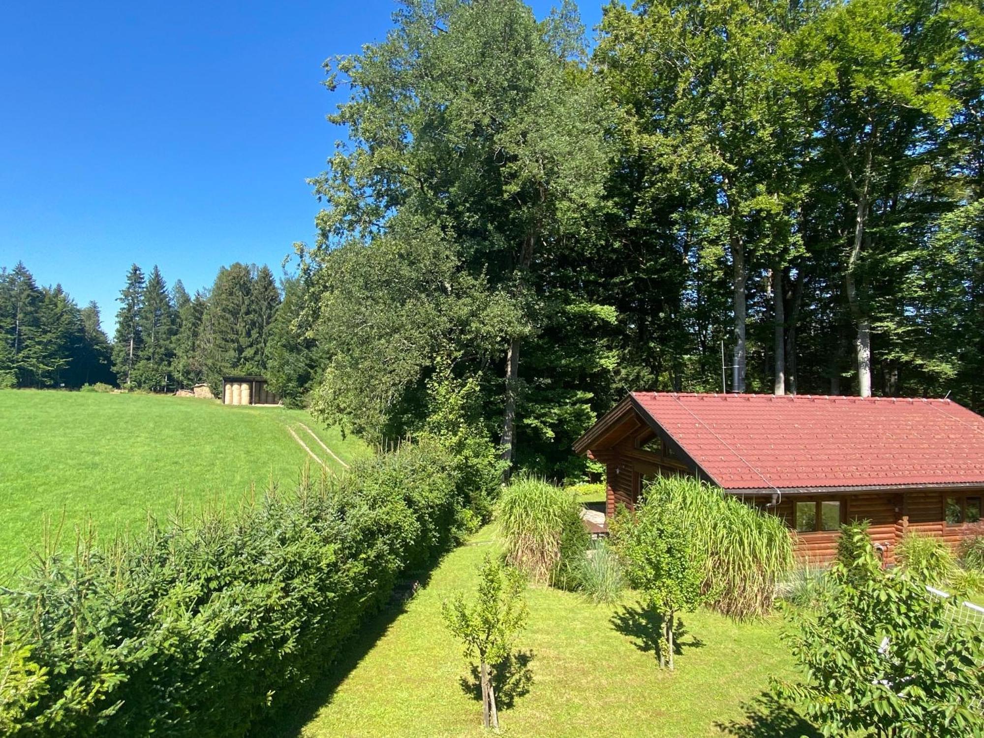 Huette Am Wald Villa Hof bei Salzburg Buitenkant foto
